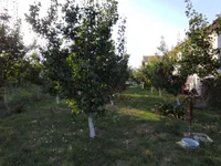 Veternik, Gradske lokacije, Novi Sad | 4zida.rs