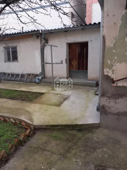 Pasjačka | 4zida.rs