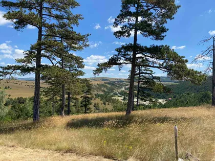 Kobilja Glava | 4zida.rs