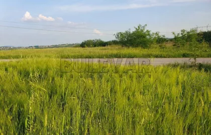 Šumadijska | 4zida.rs