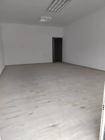 Moše Pijade | 4zida.rs