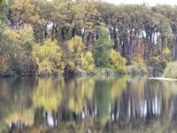 Sombor, Okolne lokacije, Kolut | 4zida.rs | 4zida.rs