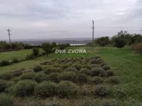 Inđija, Okolne lokacije, Novi Slankamen | 4zida.rs | 4zida.rs