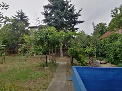 Palić | 4zida.rs