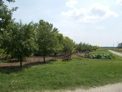 Mali Radanovac | 4zida.rs