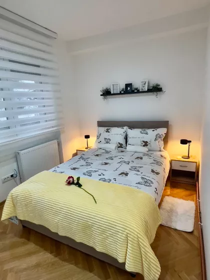 Vojvode Šupljikca | 4zida.rs
