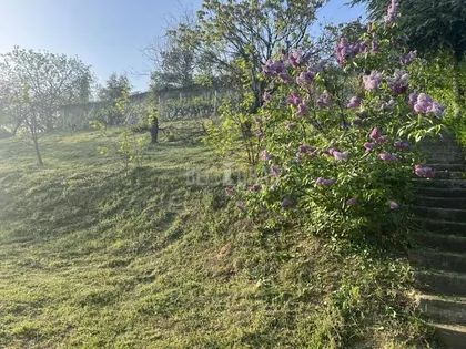 Vinogradska | 4zida.rs