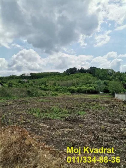 Vladimira Markovica | 4zida.rs