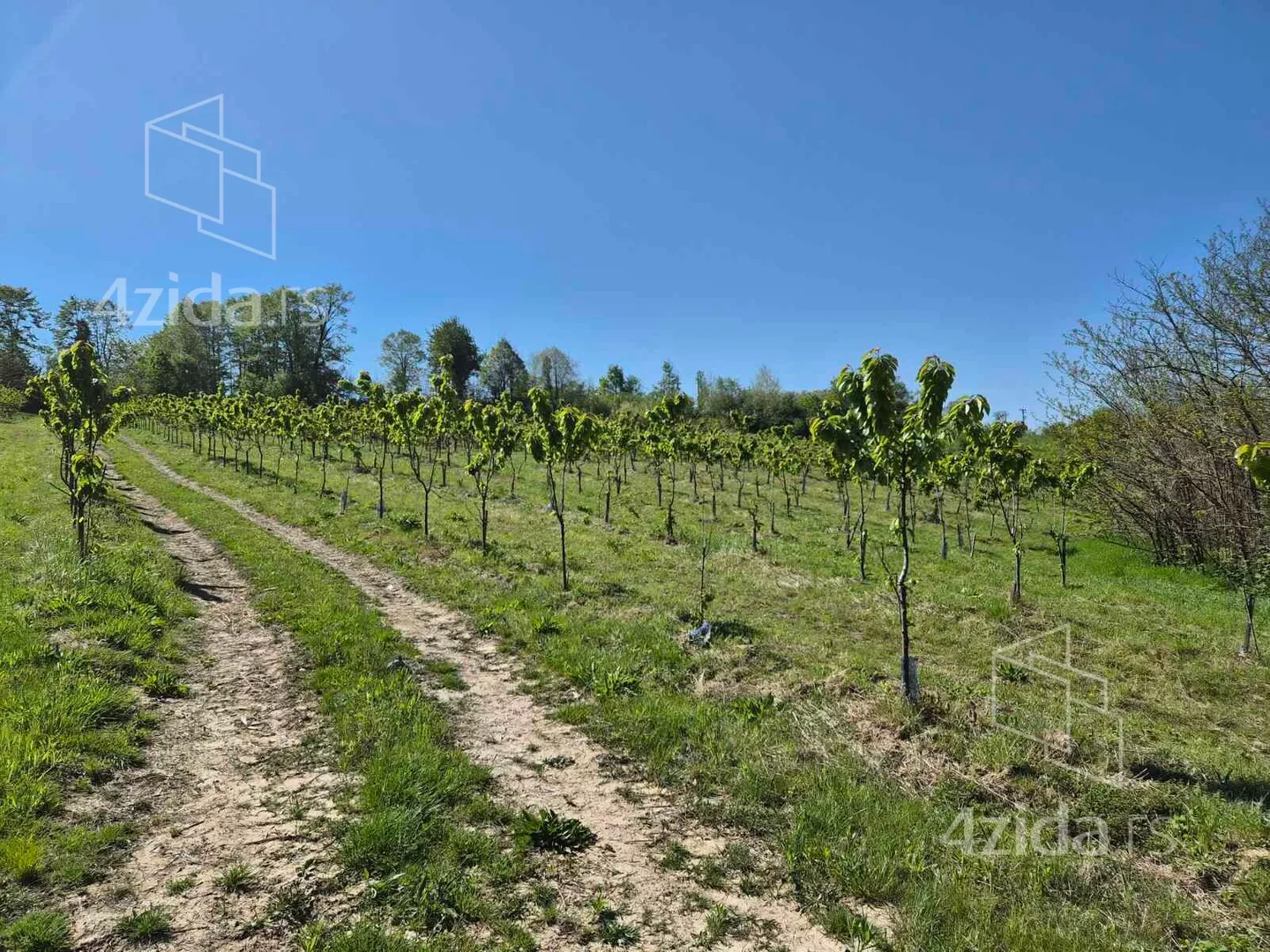 Plac | 4zida