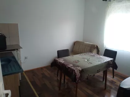 Dr Vojislava Vučkovića | 4zida.rs