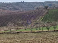 Čerat, Okolne lokacije, Sremski Karlovci | 4zida.rs