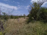 Plac | 4zida