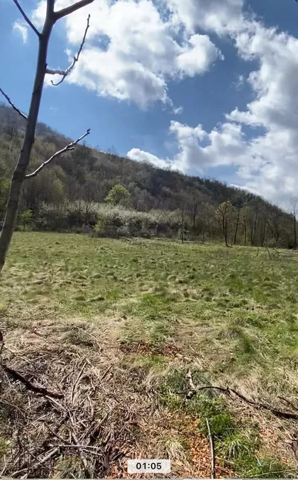 Ilino Boljevac | 4zida.rs