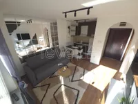 Novi Sad, Gradske lokacije, Detelinara, Nova Detelinara | 4zida.rs | 4zida.rs