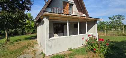 Pačir | 4zida.rs