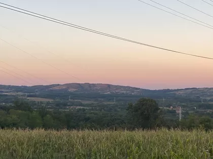 Carice Milice | 4zida.rs