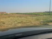 Futog, Okolne lokacije, Novi Sad | 4zida.rs