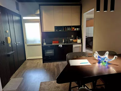 Miše Vujića | 4zida.rs