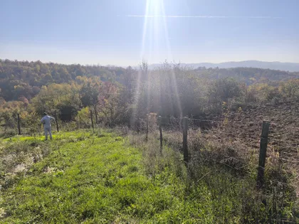 Goločelska | 4zida.rs