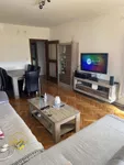 Novo Naselje, Gradske lokacije, Novi Sad | 4zida.rs | 4zida.rs