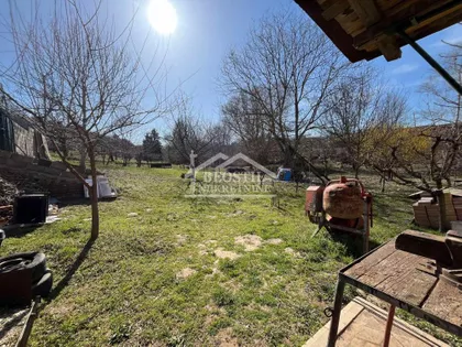 Zmaj Jovina | 4zida.rs