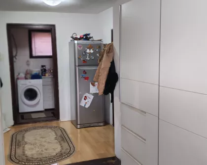 Mike Antića | 4zida.rs