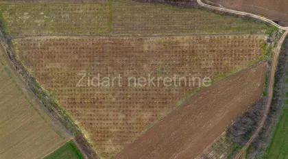 Belosavci | 4zida.rs