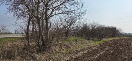 Novosadska | 4zida.rs