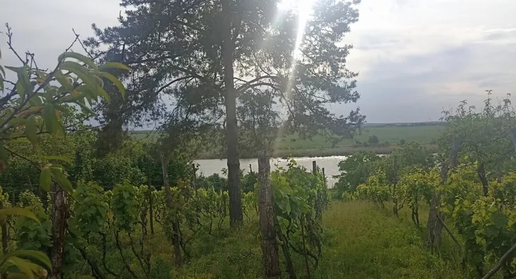 Poljoprivredno zemljište | 4zida