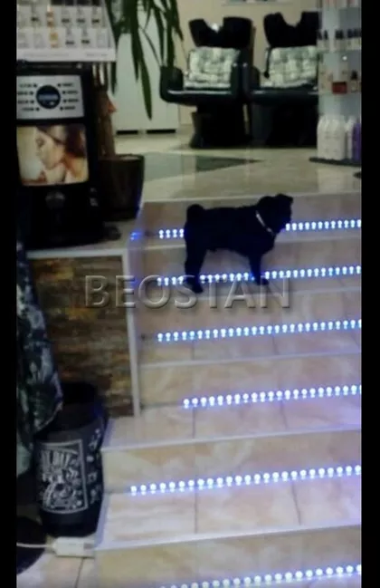 Kumodraška | 4zida.rs