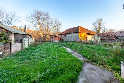 Ratka Pavlovića | 4zida.rs