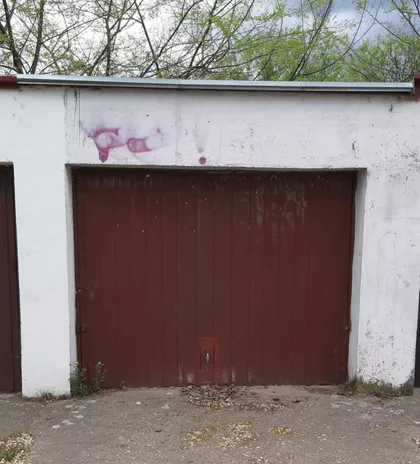 Kireška 7 | 4zida.rs