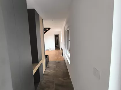 Šojka | 4zida.rs