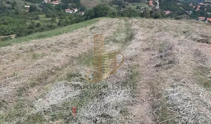 Plac | 4zida