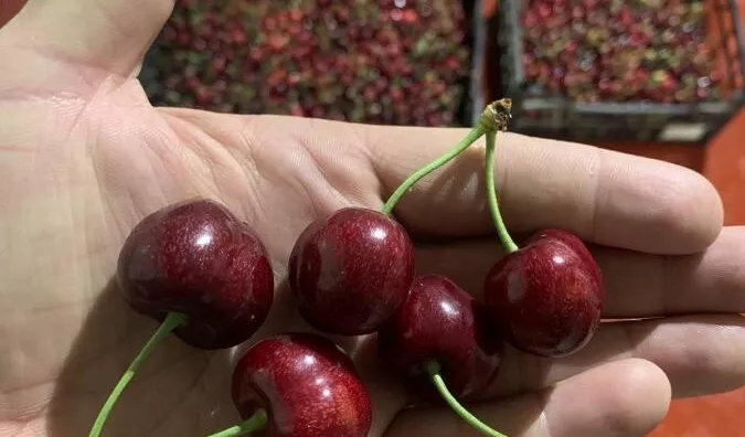 Poljoprivredno zemljište | 4zida