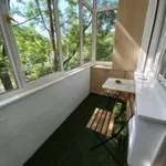 Novi Sad, Gradske lokacije, Grbavica | 4zida.rs | 4zida.rs