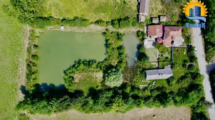 Dobrivoja Maksimovića | 4zida.rs