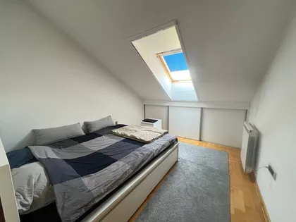 Novi Sad - Centar | 4zida.rs