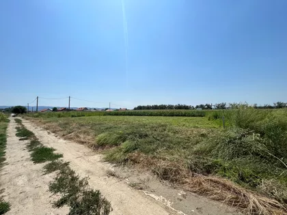 Guslarska | 4zida.rs