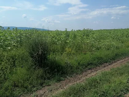 Toponički put | 4zida.rs