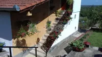 Čerević, Okolne lokacije, Beočin | 4zida.rs | 4zida.rs