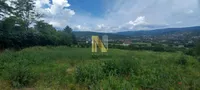 Plac | 4zida