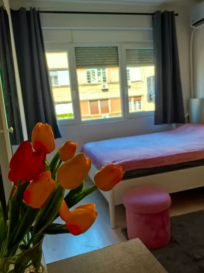 Kraljice Natalije | 4zida.rs