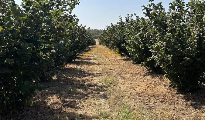 Poljoprivredno zemljište | 4zida