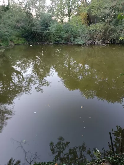 Ranilović | 4zida.rs