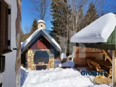 Vojvode Stepe Stepanovića