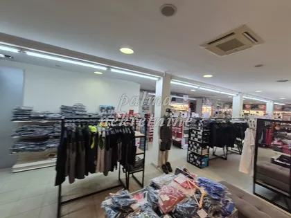 Veliki Park | 4zida.rs