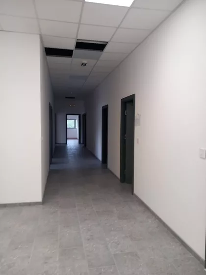 CARA DUŠANA | 4zida.rs