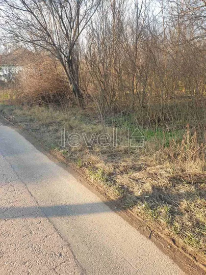 Gunaroš | 4zida.rs