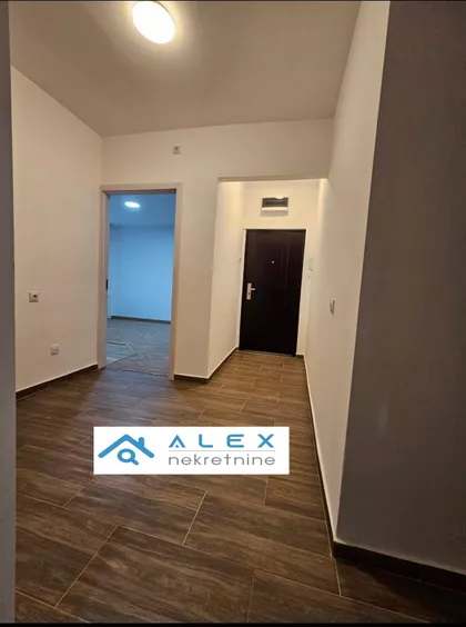 Miše Dimitrijevića | 4zida.rs